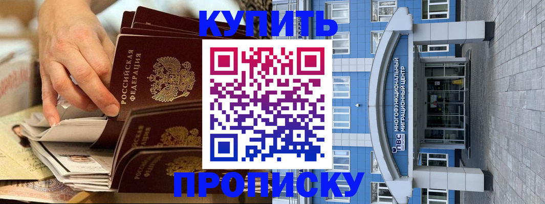 прописка гарантия в Заинске